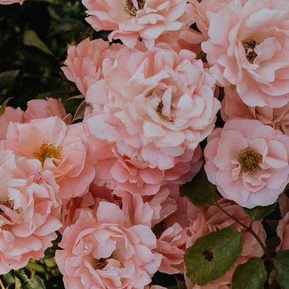 Get to know me! - Picture 1 of 1